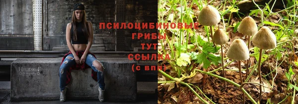 MDMA Богданович