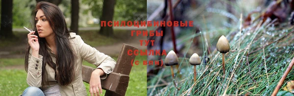 скорость Богородицк