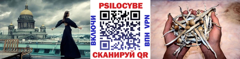 OMG сайт  Новое Девяткино  Псилоцибиновые грибы Cubensis 